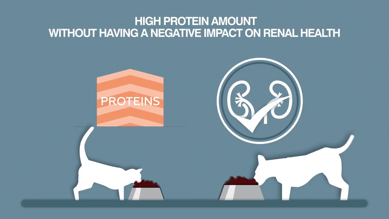 BEVARER NYREFUNKSJONEN